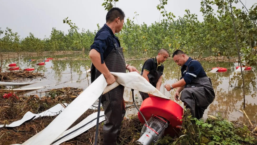 2025020597342690.jpg 1.webp.jpg